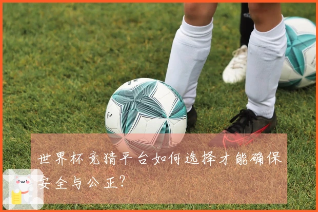 世界杯竞猜平台如何选择才能确保安全与公正？