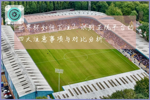 世界杯如何下注？识别正规平台的四大注意事项与对比分析
