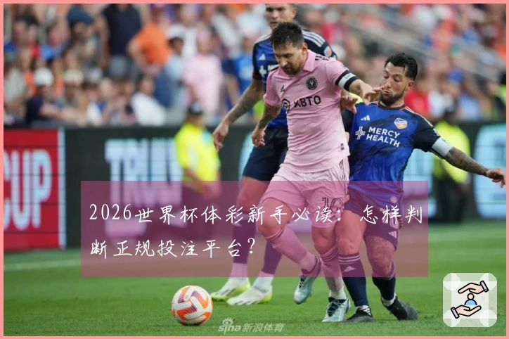 2026世界杯体彩新手必读：怎样判断正规投注平台？