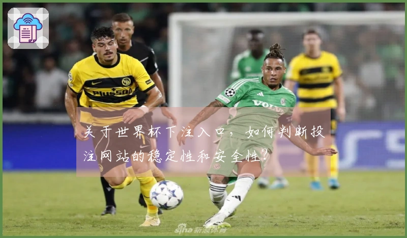 关于世界杯下注入口，如何判断投注网站的稳定性和安全性？