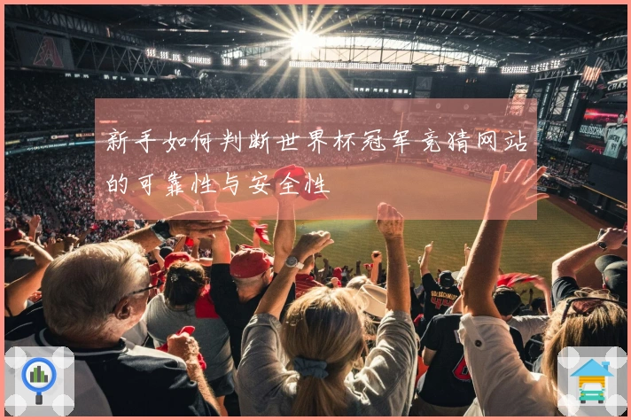 新手如何判断世界杯冠军竞猜网站的可靠性与安全性