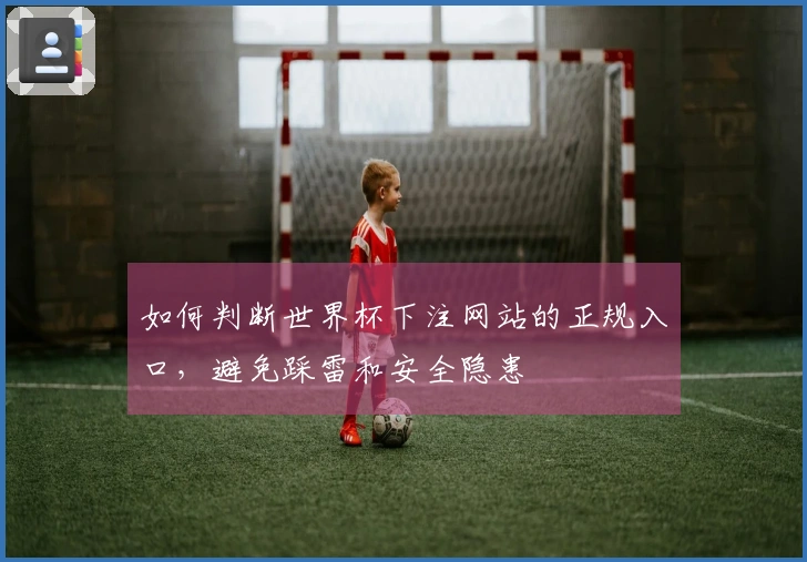 如何判断世界杯下注网站的正规入口，避免踩雷和安全隐患