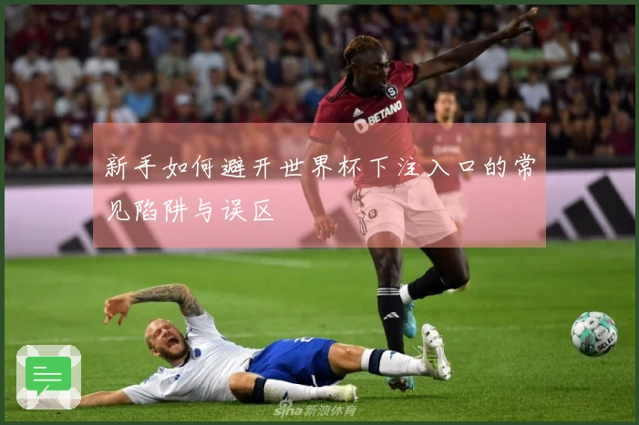 新手如何避开世界杯下注入口的常见陷阱与误区