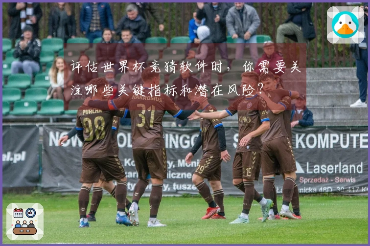 评估世界杯竞猜软件时，你需要关注哪些关键指标和潜在风险？