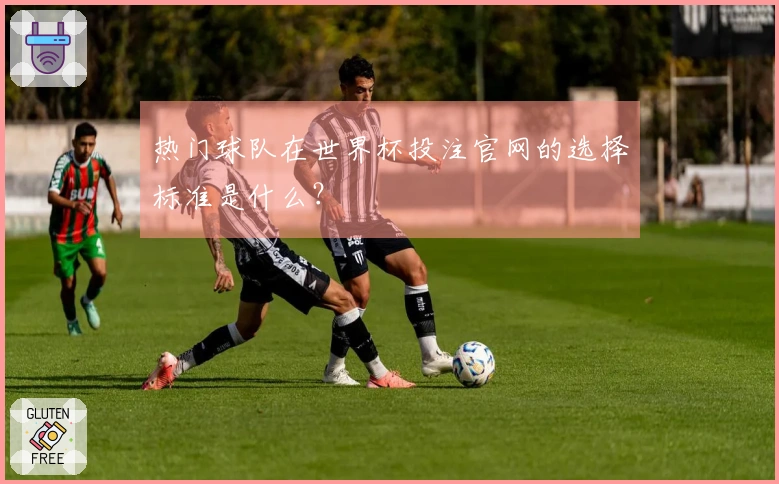 热门球队在世界杯投注官网的选择标准是什么？