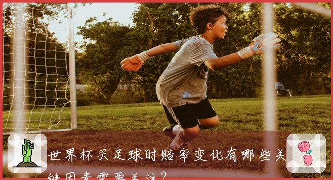 世界杯买足球时赔率变化有哪些关键因素需要关注？