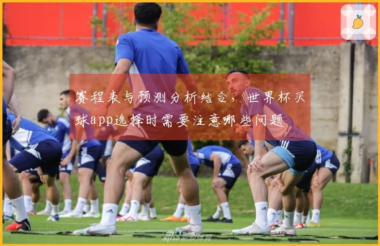 赛程表与预测分析结合，世界杯买球app选择时需要注意哪些问题