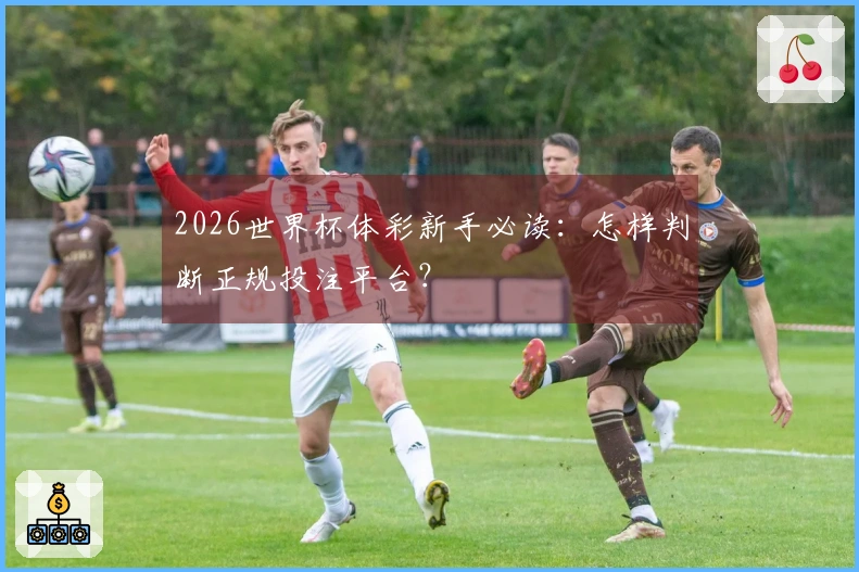2026世界杯体彩新手必读：怎样判断正规投注平台？