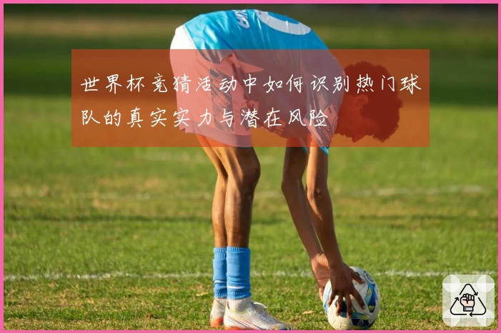 世界杯竞猜活动中如何识别热门球队的真实实力与潜在风险