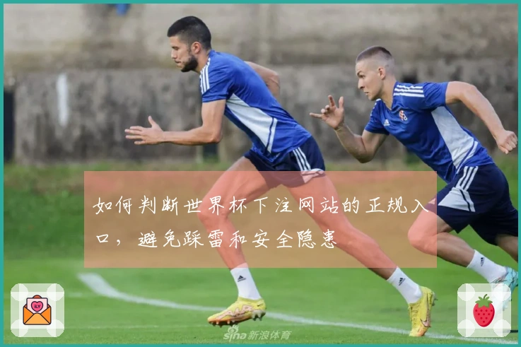 如何判断世界杯下注网站的正规入口，避免踩雷和安全隐患