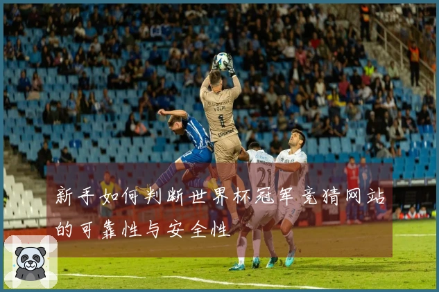新手如何判断世界杯冠军竞猜网站的可靠性与安全性