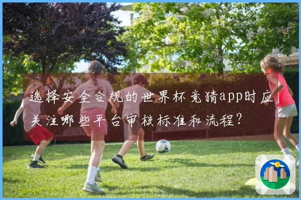 选择安全合规的世界杯竞猜app时应关注哪些平台审核标准和流程？