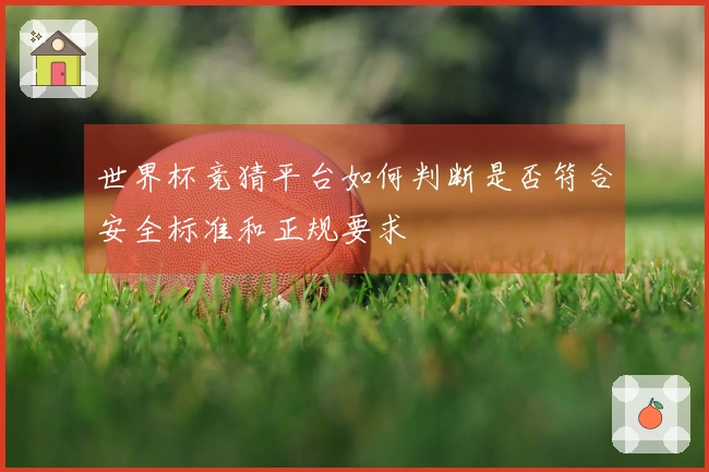 世界杯竞猜平台如何判断是否符合安全标准和正规要求