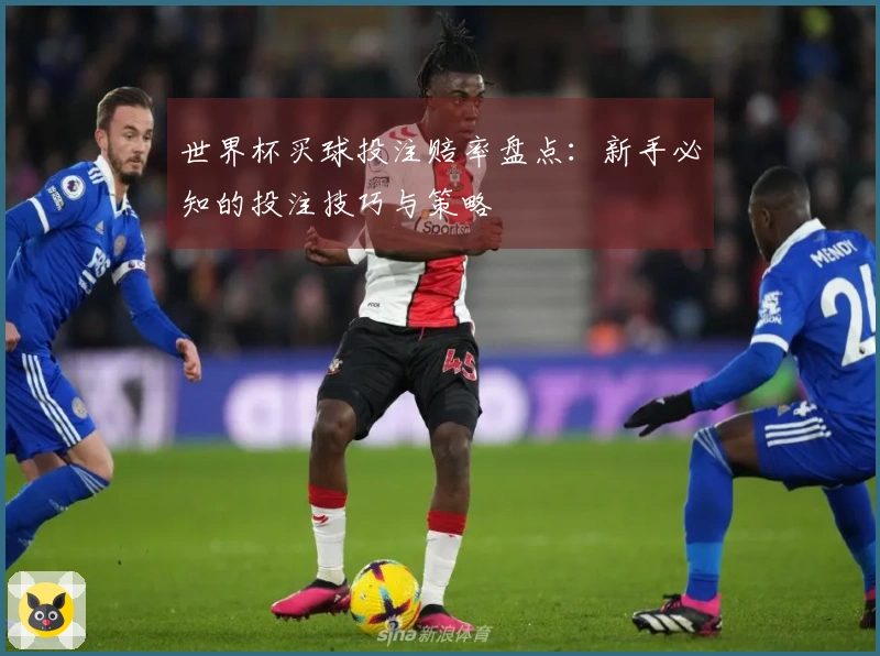 世界杯买球投注赔率盘点：新手必知的投注技巧与策略