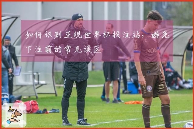 如何识别正规世界杯投注站，避免下注前的常见误区