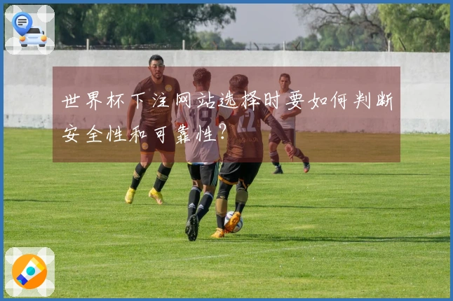世界杯下注网站选择时要如何判断安全性和可靠性？