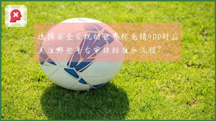 选择安全合规的世界杯竞猜app时应关注哪些平台审核标准和流程？