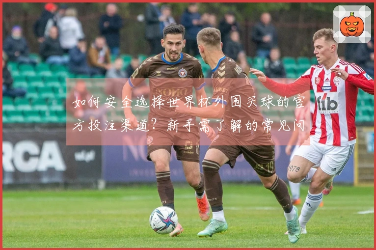 如何安全选择世界杯外围买球的官方投注渠道？新手需了解的常见问题